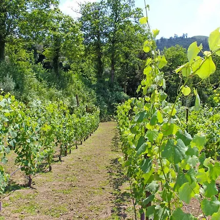 Σπίτι διακοπών Casa Roupar By Geres Casas