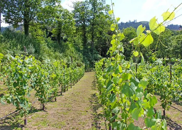 Dom wakacyjny Casa Roupar By Geres Casas